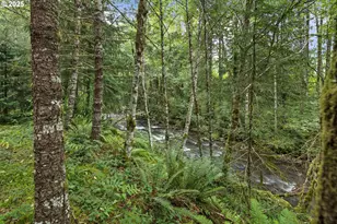 27172 E Marion Rd, Rhododendron, OR 97049 - Photo 40