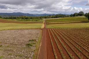 1066 Red Hill Rd, Oakland, OR 97462 - Photo 26