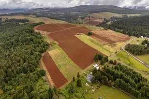 1066 Red Hill Rd, Oakland, OR 97462 - Photo 10