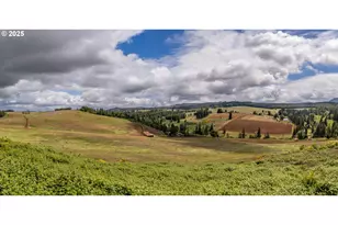 1066 Red Hill Rd, Oakland, OR 97462 - Photo 4