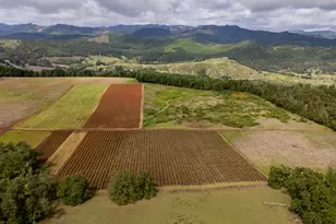 1066 Red Hill Rd, Oakland, OR 97462 - Photo 28