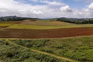 1066 Red Hill Rd, Oakland, OR 97462 - Photo 34