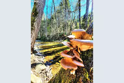 874 S Main St, Canyonville, OR 97417 - Photo 28