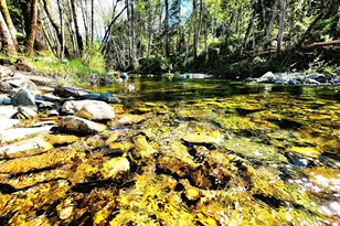 874 S Main St, Canyonville, OR 97417 - Photo 4