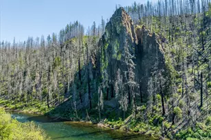 49348 McKenzie Hwy, Vida, OR 97488 - Photo 36