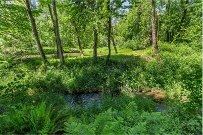 41577 Deerhorn Rd, Springfield, OR 97478 - Photo 2