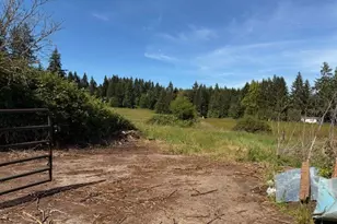 65748 Meissner Rd, Deer Island, OR 97054 - Photo 24