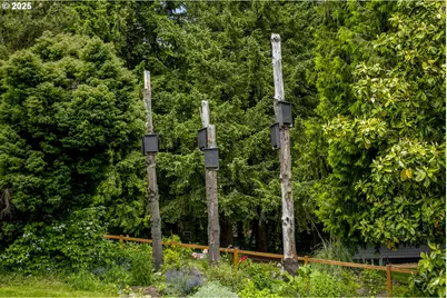 10623 NE Fox Farm Rd, Dundee, OR 97115 - Photo 12