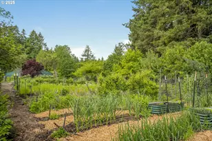 10623 NE Fox Farm Rd, Dundee, OR 97115 - Photo 36