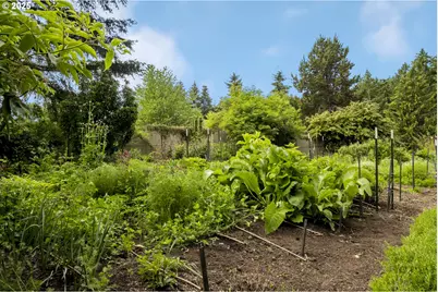 10623 NE Fox Farm Rd, Dundee, OR 97115 - Photo 20