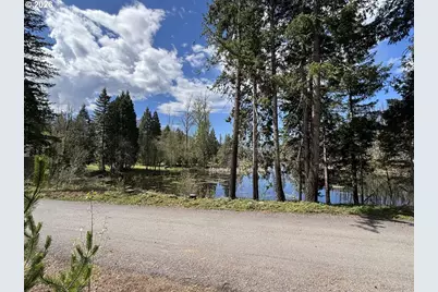 54432 McKenzie Hwy #40, Blue River, OR 97413 - Photo 8