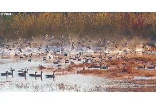 723 Glade Ave, Forest Grove, OR 97116 - Photo 20