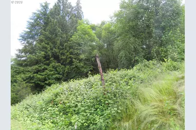 Sylvan Way, Longview, WA 98632 - Photo 12