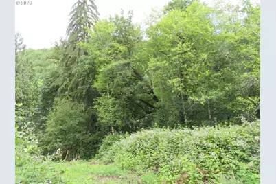 Sylvan Way, Longview, WA 98632 - Photo 10