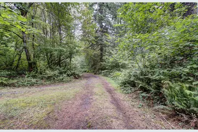 40806 NE Goodnight Rd, La Center, WA 98629 - Photo 4