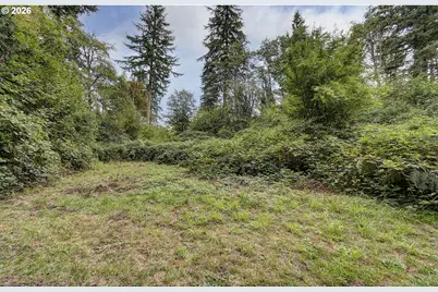 40806 NE Goodnight Rd, La Center, WA 98629 - Photo 10