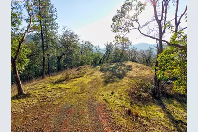 0 Ryan Heights Ln #TL 603, Roseburg, OR 97470 - Photo 6