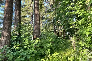 21090 NW Dairy Creek Rd, North Plains, OR 97133 - Photo 24