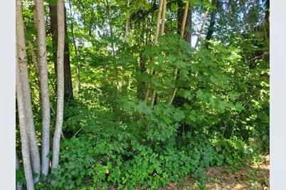 1006 Mountain View Rd, Sweet Home, OR 97386 - Photo 36