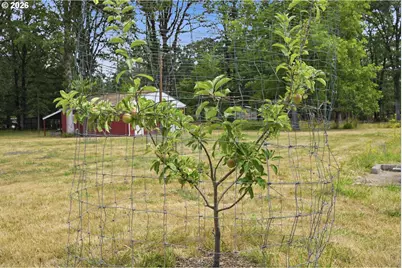 24137 Warthen Rd, Elmira, OR 97437 - Photo 18