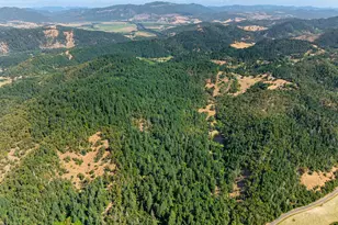 1180 Upper Cleveland Rapids Rd, Roseburg, OR 97471 - Photo 2