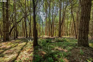 1180 Upper Cleveland Rapids Rd, Roseburg, OR 97471 - Photo 26