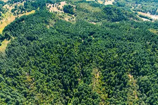 1180 Upper Cleveland Rapids Rd, Roseburg, OR 97471 - Photo 38