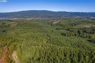 6 Parpala Rd #6, Naselle, WA 98638 - Photo 16