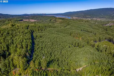 6 Parpala Rd #6, Naselle, WA 98638 - Photo 2