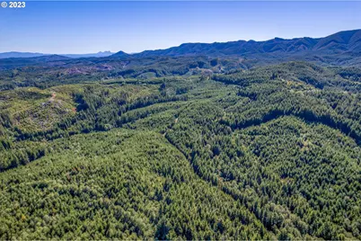6 Parpala Rd #6, Naselle, WA 98638 - Photo 12
