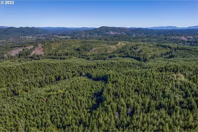 6 Parpala Rd #6, Naselle, WA 98638 - Photo 14