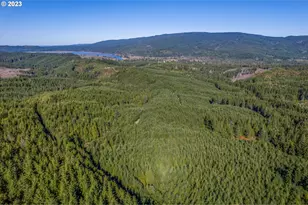 6 Parpala Rd, Naselle, WA 98638 - Photo 1