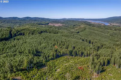 6 Parpala Rd #6, Naselle, WA 98638 - Photo 8