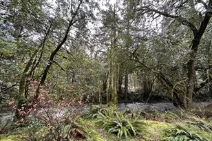 14940 Glenn Creek Ln, Coos Bay, OR 97420 - Photo 36