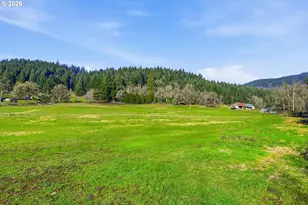 39465 Little Fall Creek Rd, Fall Creek, OR 97438 - Photo 34