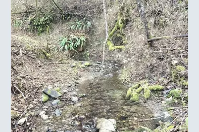 1065 Panther Gulch Rd, Williams, OR 97544 - Photo 12