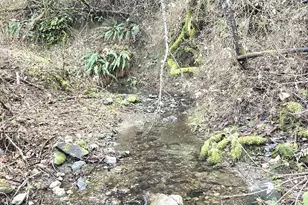 1065 Panther Gulch Rd, Williams, OR 97544 - Photo 12