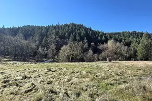 1065 Panther Gulch Rd, Williams, OR 97544 - Photo 8