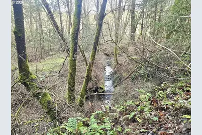 1065 Panther Gulch Rd, Williams, OR 97544 - Photo 10