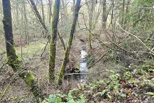 1065 Panther Gulch Rd, Williams, OR 97544 - Photo 10