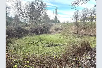 1065 Panther Gulch Rd, Williams, OR 97544 - Photo 14