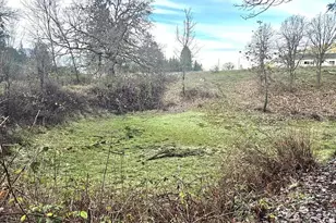 1065 Panther Gulch Rd, Williams, OR 97544 - Photo 14