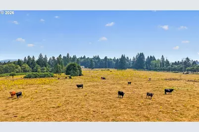 49009 SE Baty Rd, Sandy, OR 97055 - Photo 40