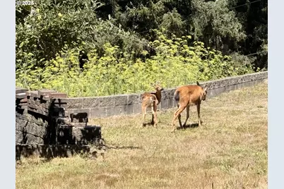93924 Kirkendall Ln, North Bend, OR 97459 - Photo 36