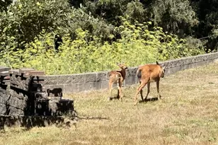 93924 Kirkendall Ln, North Bend, OR 97459 - Photo 36