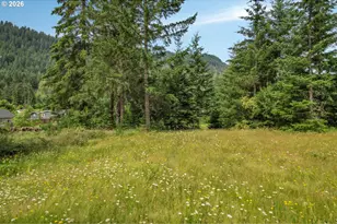 181 Vada Rd, Carson, WA 98610 - Photo 40