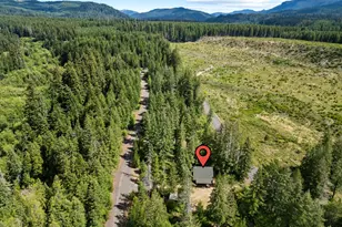 181 Lodgepole Ln, Cougar, WA 98616 - Photo 36