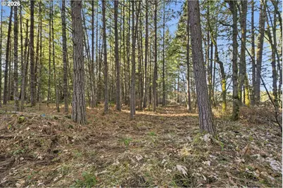 88866 Evers Rd, Elmira, OR 97437 - Photo 38
