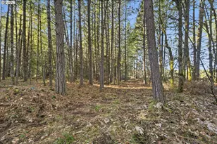 88866 Evers Rd, Elmira, OR 97437 - Photo 38