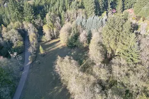 00 NE 142nd Ave, Amboy, WA 98601 - Photo 1